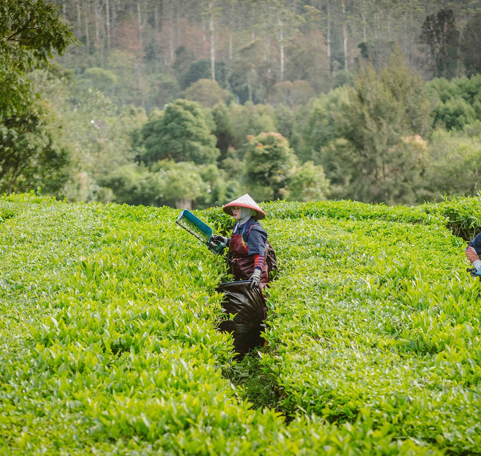 Vår utviklede strategi